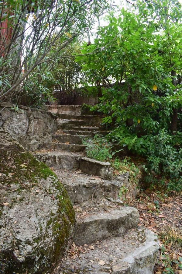 Casita En La Sierra Villa Zarzalejo Bagian luar foto