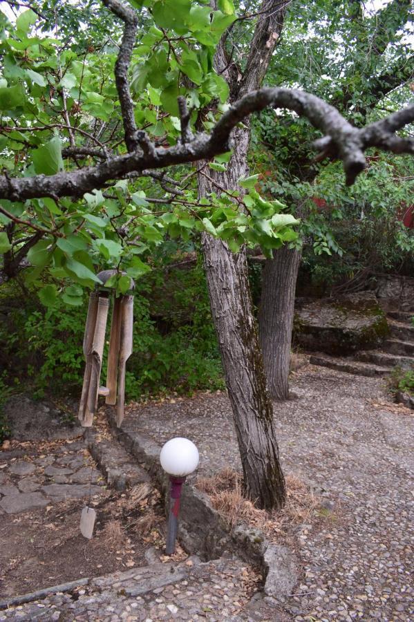 Casita En La Sierra Villa Zarzalejo Bagian luar foto
